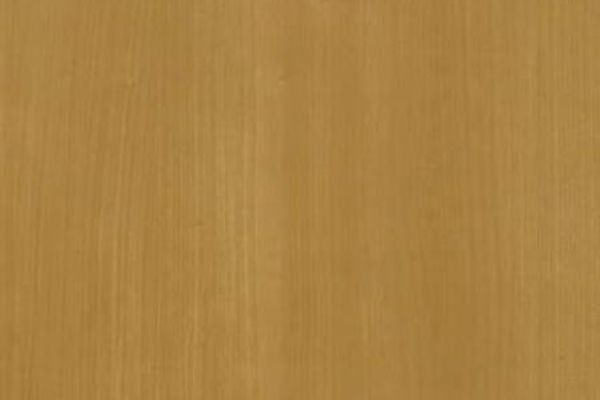 Ecosteel Клен глянцевый