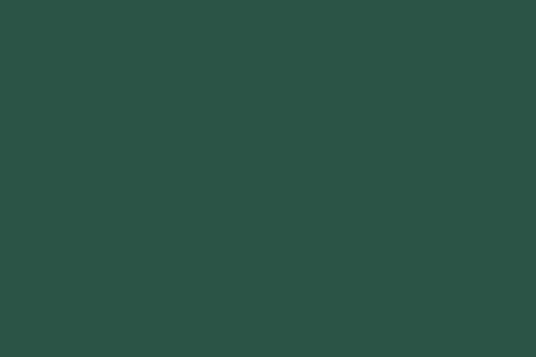 RAL 6020 RR11