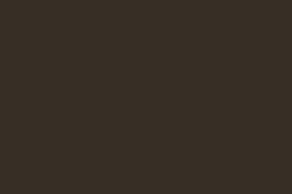 RAL 8019 RR32