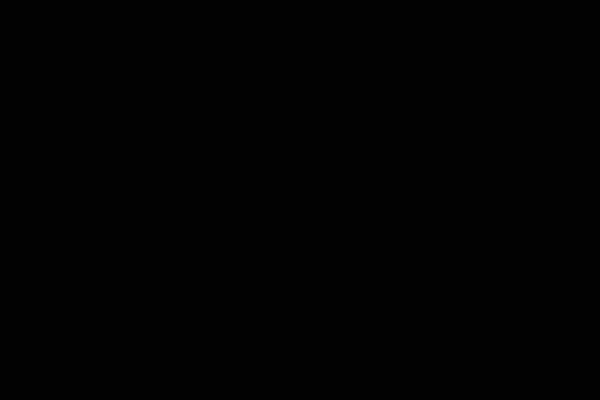 RAL 9005 RR33
