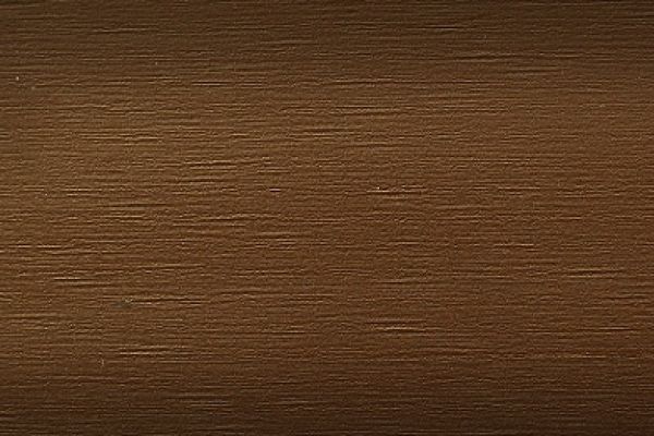 mitten sentry musketbrown